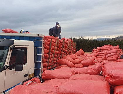 Servicio de Transporte